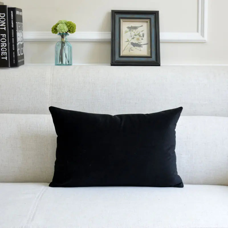 Velvet Throw Pillow for Sofa Decor