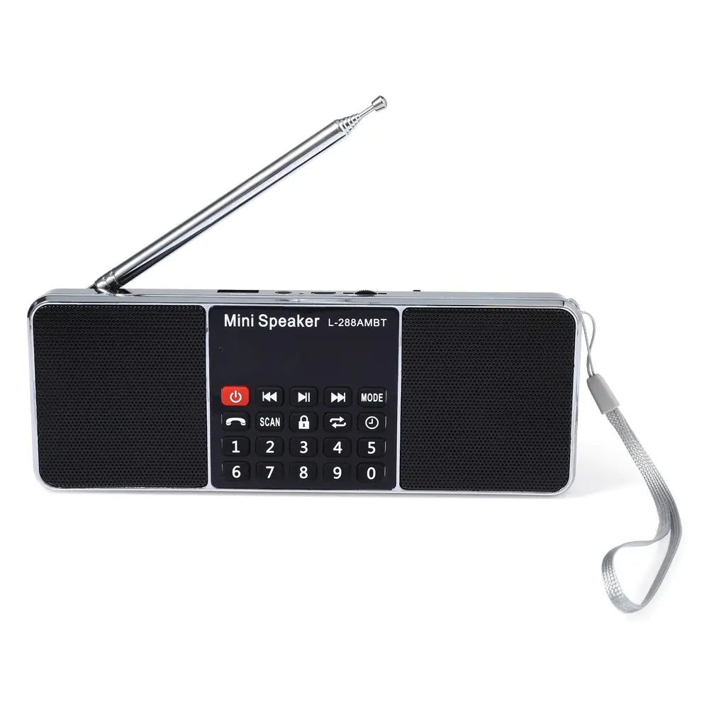 Bluetooth Multi-Source Speaker