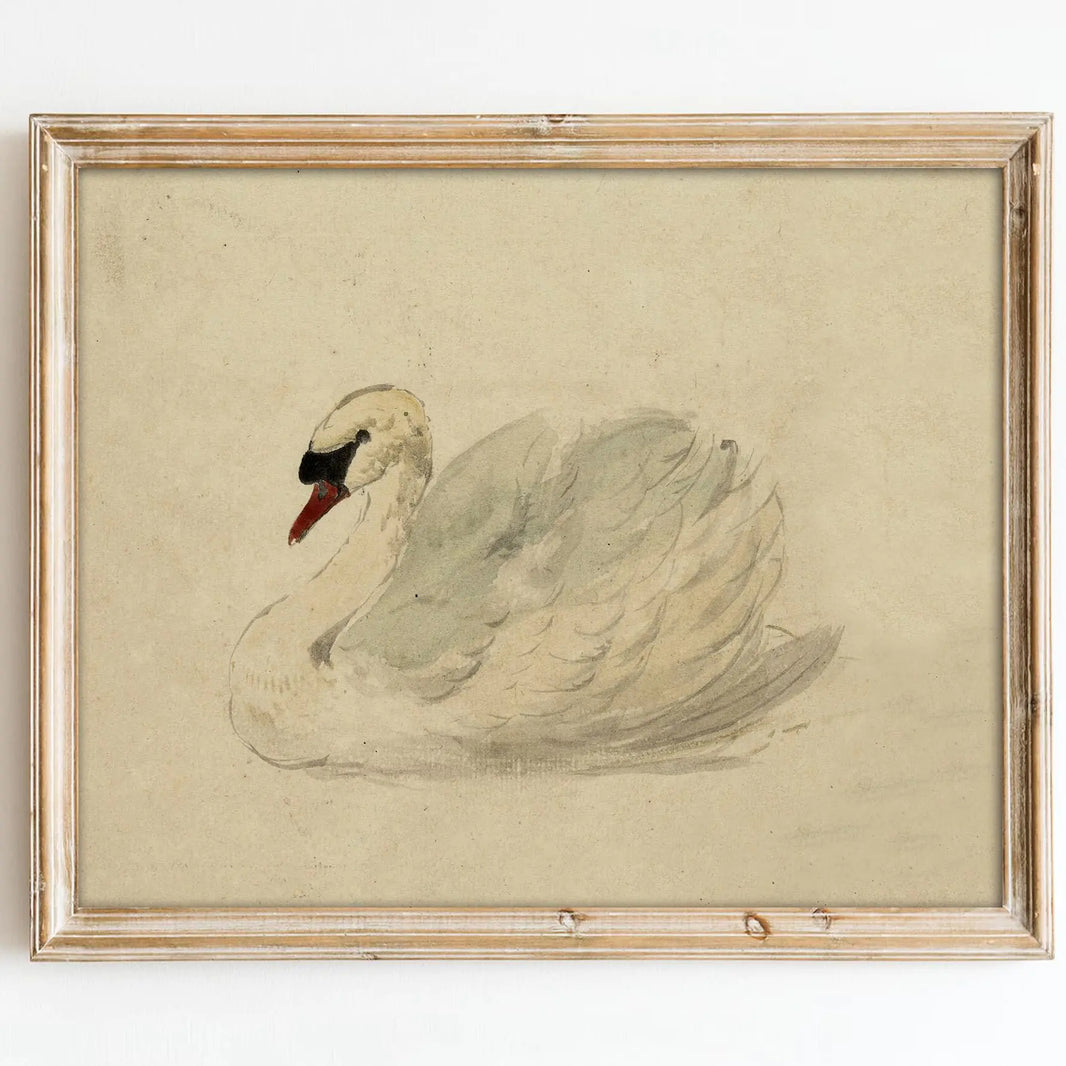 Vintage Swan Wall Art
