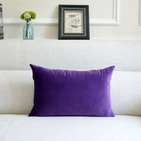 Velvet Throw Pillow for Sofa Decor