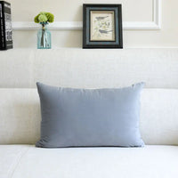 Velvet Throw Pillow for Sofa Decor