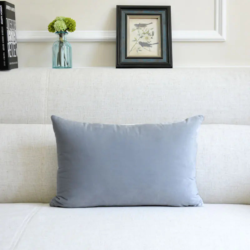 Velvet Throw Pillow for Sofa Decor