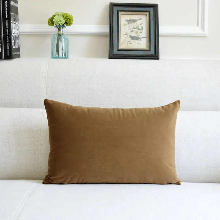 Velvet Throw Pillow for Sofa Decor