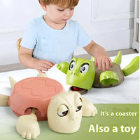 Funny Turtle Coaster Desktop Decor