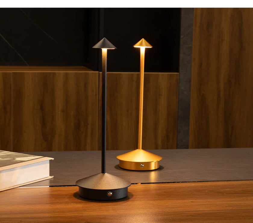 Modern Minimalist LED Table Decor Lamp