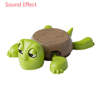 Funny Turtle Coaster Desktop Decor