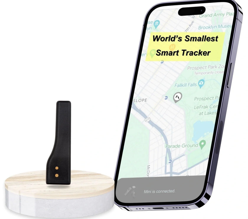 Dolphin Tracker Mini