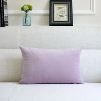 Velvet Throw Pillow for Sofa Decor