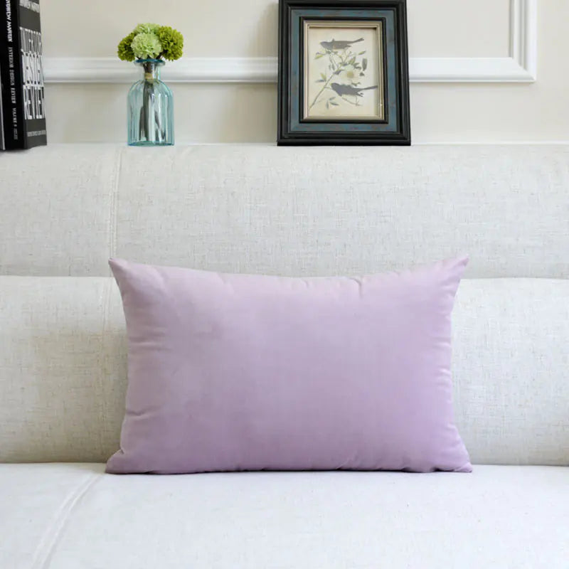 Velvet Throw Pillow for Sofa Decor