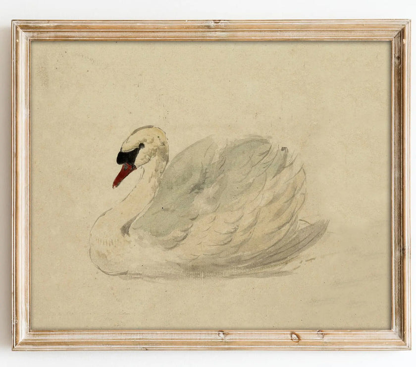 Vintage Swan Wall Art